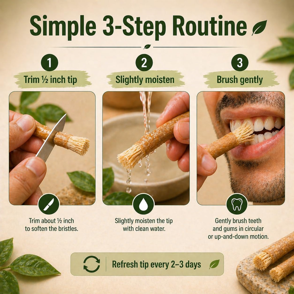 Natural Miswak Toothbrush Set with Olive Wood Handle (4-Pack)